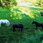 La Volante Bouilloire Bed & Breakfast Saint-Remy-la-Varenne